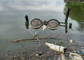 У Косівщинському водосховищі зафіксували випадки загибелі риби – Суми та область