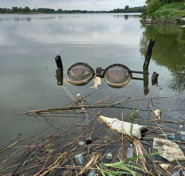 У Косівщинському водосховищі зафіксували випадки загибелі риби – Суми та область