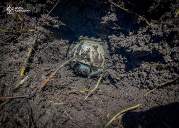 За добу на Сумщині знищили 5 вибухонебезпечних предметів – Суми та область