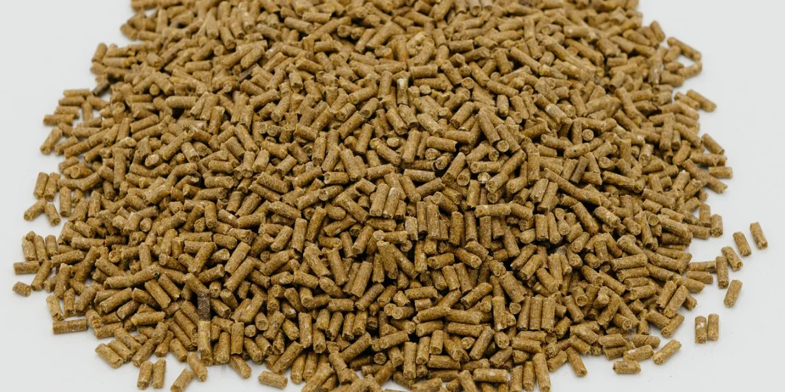 Переваги використання БМВД в годівлі тварин