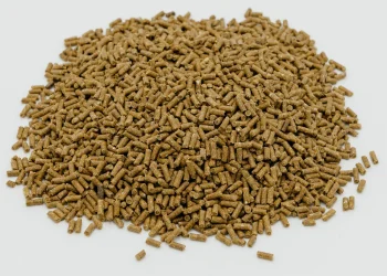 Переваги використання БМВД в годівлі тварин