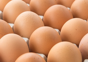 Яйця подешевшали за рік на 35,8% – Економіка