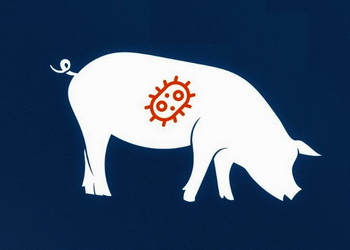 Випадки АЧС зафіксовані в господарствах Київщини та Херсонщини – Економіка