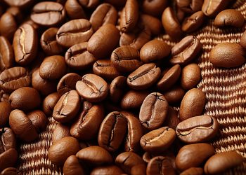 Кава: шлях від зерна до чашки
