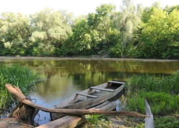 Концентрація кисню у річці Сейм на Сумщині прийшла в норму – Суми та область