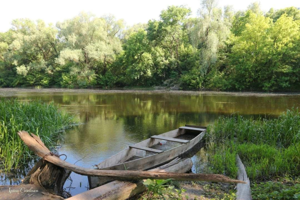 Концентрація кисню у річці Сейм на Сумщині прийшла в норму – Суми та область