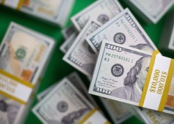 Курс валют в Украине 20 июня 2024 года: сколько стоит доллар и евро