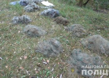 На Сумщині поліцейські повідомили про підозру 4 громадянам,  які здійснили  незаконний вилов риби – Суми та область