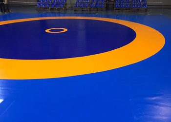 Представники Полтавщини Ірфан Мірзоєв та Вадим Матрос їдуть на Чемпіонат Європи з греко-римської боротьби • Греко-римська боротьба •
