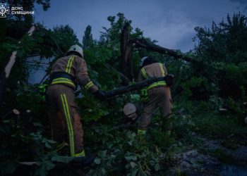 У Сумах та області співробітники ДСНС допомагали ліквідовувати наслідки негоди – Суми та область