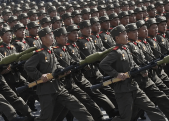 В Офісі президента розкритикували Пентагон через допомогу ЗС Росії від КНДР