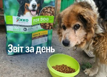 В UAnimals допомагають тваринам із Сумщини – Суми та область