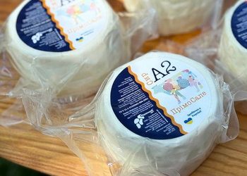 Ічнянський завод сухого молока та масла розширив лінійку сирів із молока А2 – Економіка