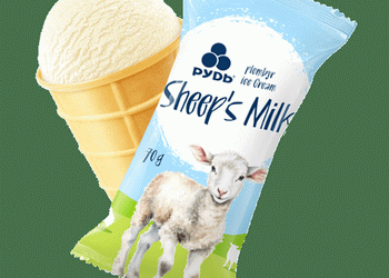 «Рудь» створила лінійку морозива на базі овечого молока – Економіка