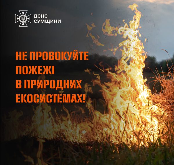 На Сумщині за добу гасили 7 пожеж на відкритих територіях – Суми та область