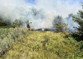 Рятувальники упродовж доби тричі ліквідовували загоряння на відкритих територіях – Суми та область