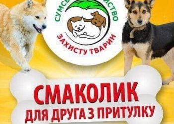 Сьогодні в сумській «Мануфактурі» — акція для підтримки чотирилапих – Суми та область