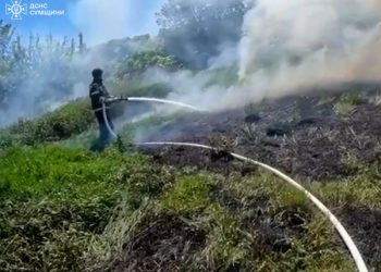 Упродовж доби на Сумщині кілька разів ліквідовували загоряння на відкритих територіях – Суми та область