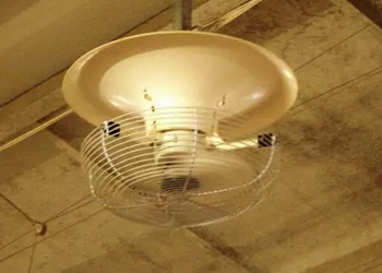 Розгінні вентилятори в пташнику дозволяють заощадити до 30% електроенергії – Економіка