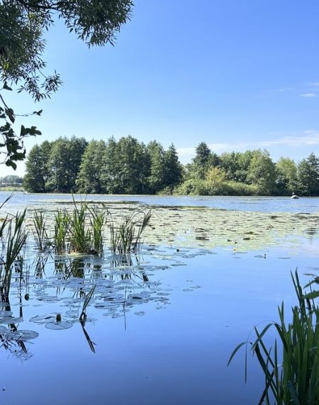 Фахівці дозволили й надалі купатися у Галенкіському озері – Суми та область