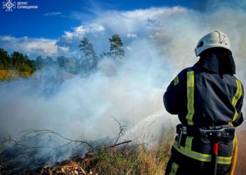 На Сумщині рятувальники продовжують ліквідовувати пожежі в екосистемах – Суми та область