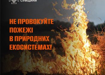 На Сумщині упродовж доби 6 разів ліквідовували загоряння на відкритих територіях – Суми та область