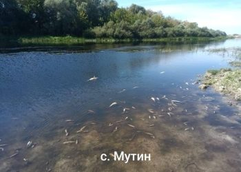 Оновлені дані щодо контролю за станом річки Сейм – Суми та область