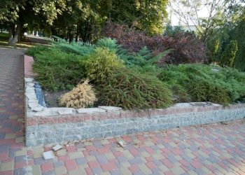 У Ромнах  перед міськрадою викрали плитку з клумби – Суми та область