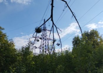 У Сумах відновлено електропостачання після ранкового удару – Суми та область