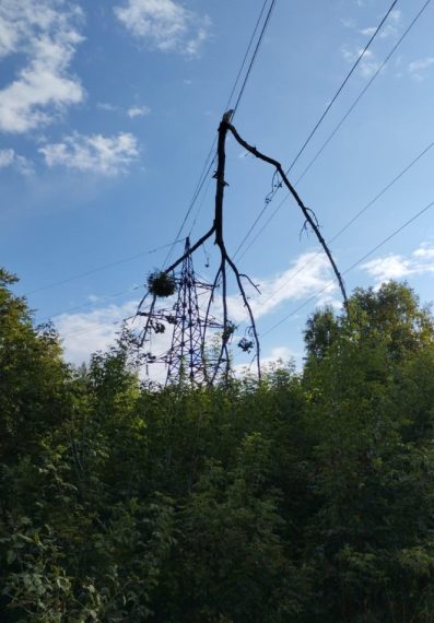 У Сумах відновлено електропостачання після ранкового удару – Суми та область
