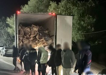 В Одесской области 16 “уклонистов” перевозили в рефрижераторе с мясом