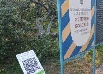 Відтепер біля кролевецької диво-яблуньки є онлайн гід – Суми та область