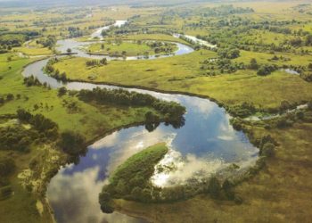 Жителям трьох громад Сумщини тимчасово заборонено купання у річці Сейм – Суми та область