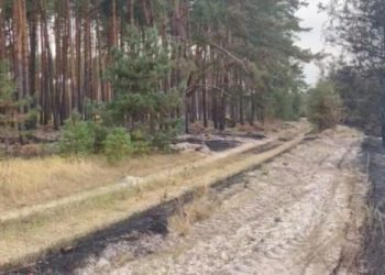 На Конотопщині мінералізовані смуги допомогли врятувати ліс від пожежі, яку спричинив ворожий обстріл – Суми та область