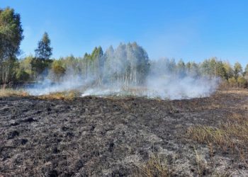 На Кролевеччині також спостерігається задимлення – Суми та область
