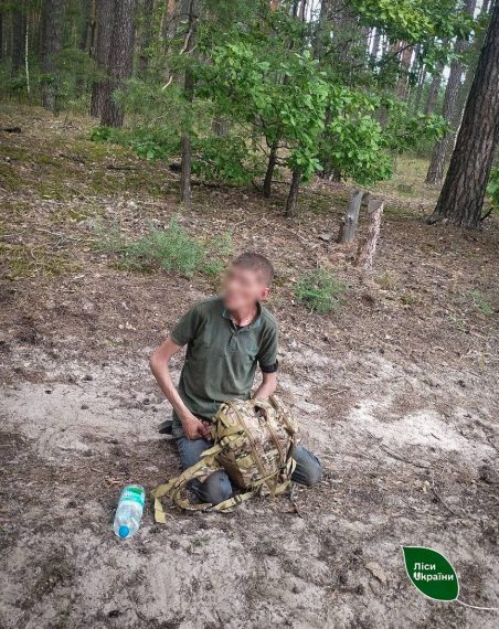 На Шосткинщині викрили маніяка-палія, який підпалював ліс – Суми та область