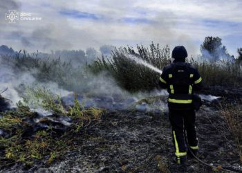 На Сумщині вчора приборкували 17 пожеж в екосистемах – Суми та область