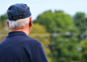 Офіційна зарплата та стаж: як заробити на гідну пенсію в Україні | Економіка