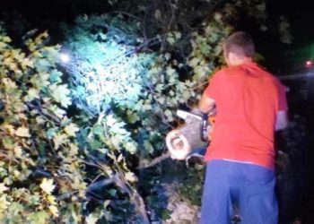 Оперативна реакція працівників «Зеленбуду» допомогла швидко ліквідувати наслідки падіння дерева у центрі Сум – Суми та область