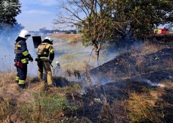 У Шостці загоряння сухої рослинності призвело до пожежі в житловому секторі – Суми та область
