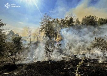 За минулу добу вогнеборці 17 разів ліквідовували загоряння на відкритих територіях – Суми та область