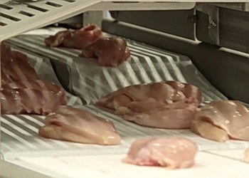 USDA прогнозує українському птахівництву зростання – Економіка