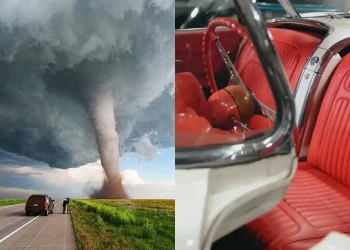 На аукціон виставили секретну колекцію автомобілів Chevrolet, яка пережила торнадо – Автоновини