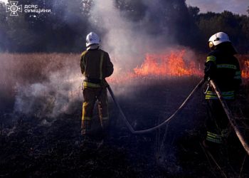 У Сумському районі через загоряння сухої рослинності травмувалася жінка – Суми та область
