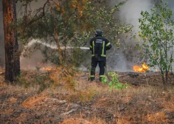 Українців можуть оштрафувати на десятки тисяч гривень: що заборонено робити | Економіка