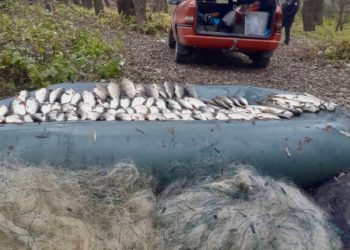 На Чернігівщині спіймали рибалок-браконьєрів із Сумщини – Суми та область