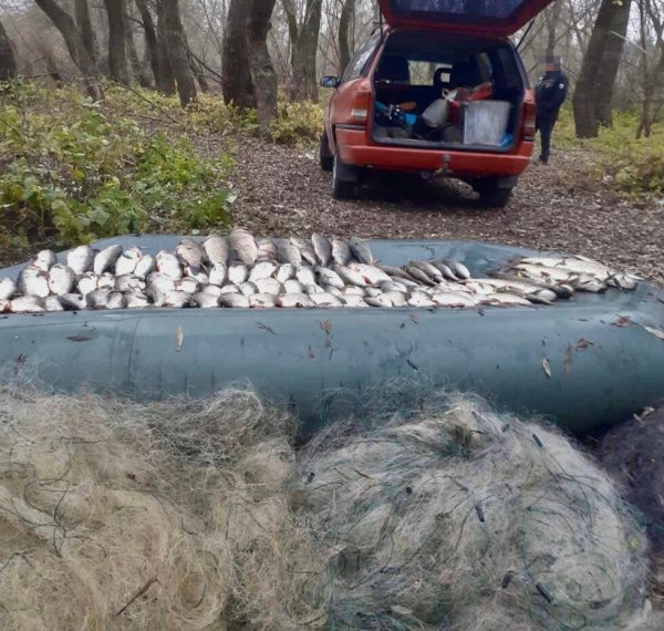 На Чернігівщині спіймали рибалок-браконьєрів із Сумщини – Суми та область
