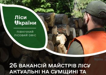 На Сумщині пропонують роботу майстрам лісу – Суми та область