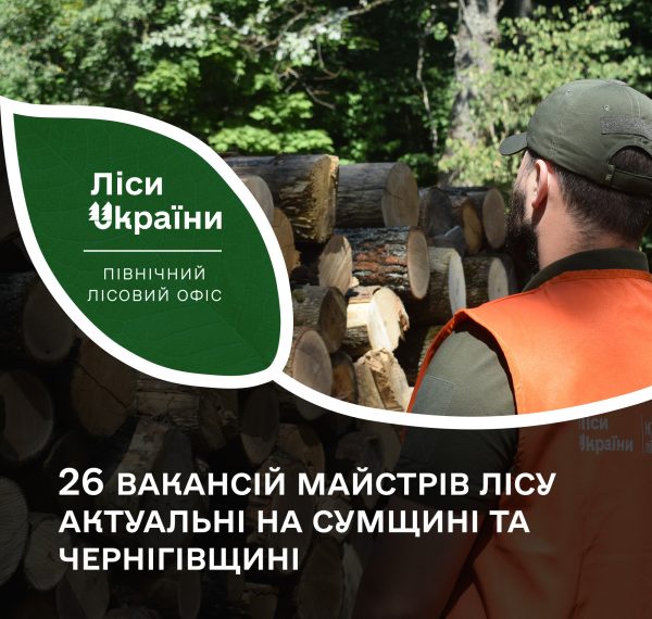 На Сумщині пропонують роботу майстрам лісу – Суми та область