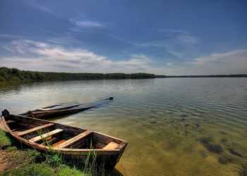 Продавав відпочинок на Шацьких озерах: роменські поліцейські викрили шахрая-рецидивіста – Суми та область
